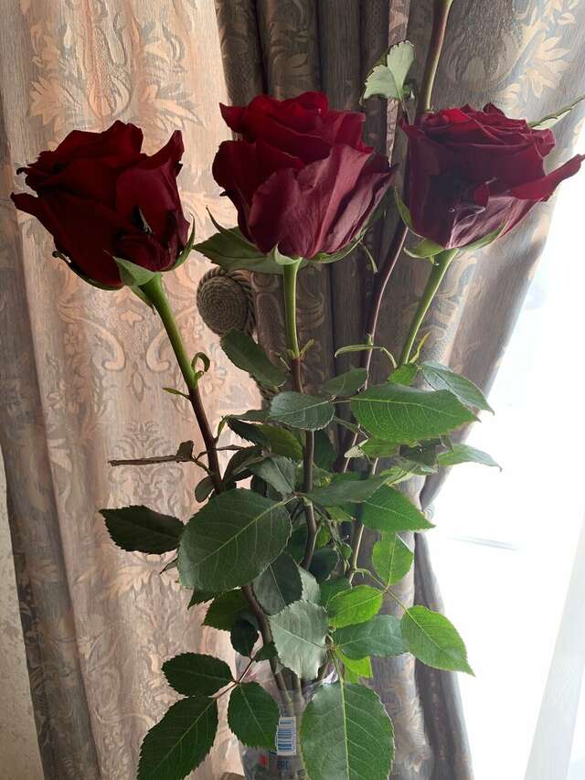 Гостиница Старая Москва Москва-78